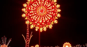 Merry and Bright: Holiday Light Displays Dazzle Memphis This Season