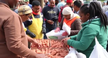 Memphis Unites for Sweet Potato Giveaway to Combat Food Insecurity