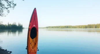 Overturned Kayak Sparks Investigation in Memphis’ Wolf River