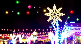 Holiday Festivities Ignite Joy and Community Spirit in Memphis
