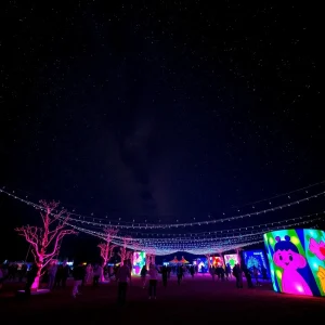 Memphis Unites for Vibrant Celebration of Art and Community at Starry, Starry Night Event