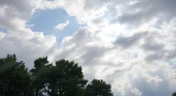 Memphis Faces Wind Advisory and Red Flag Warning
