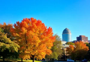 Beautiful fall scenery in Memphis with sunny skies