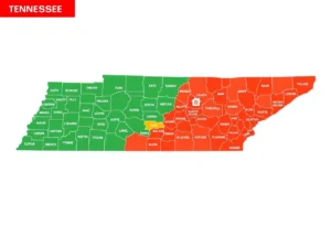 Wealth Distribution in Tennessee