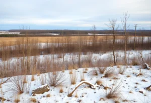 Landscape of Memphis showing effects of warmer winter temperatures