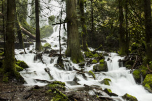 Buffalo River Becomes Tennessee 69th State Park Oct 27, 2026